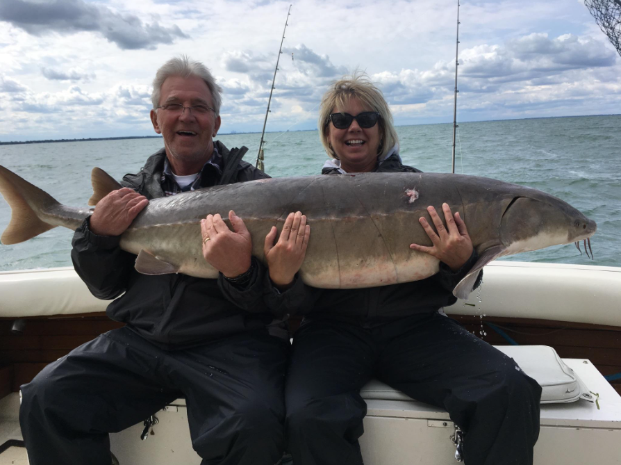 Lake sturgeon catch displayed on fishing boat in Harrison Township Michigan