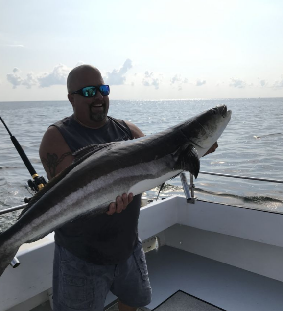 Cobia fish caught in MD