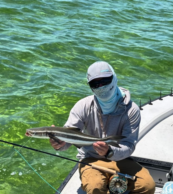 Cobia fish caught fishing in FL