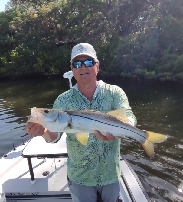 Snook fish caught while fishing in Belleair Bluffs