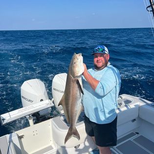 Bluefish caught fishing in Fort Pierce