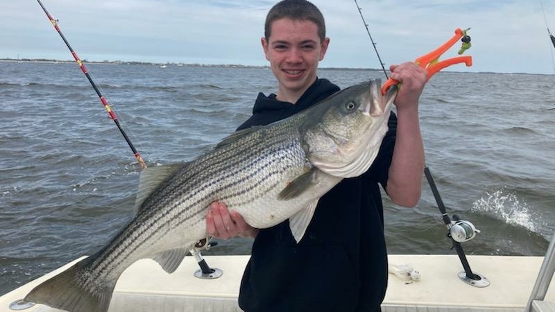 Striped bass fishing in Bricktown