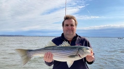 Striped bass caught in NJ
