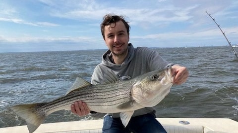 Striped bass caught in NJ