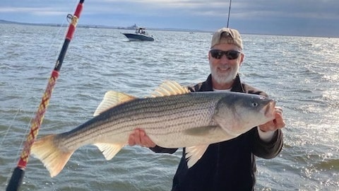 Striped bass caught in NJ