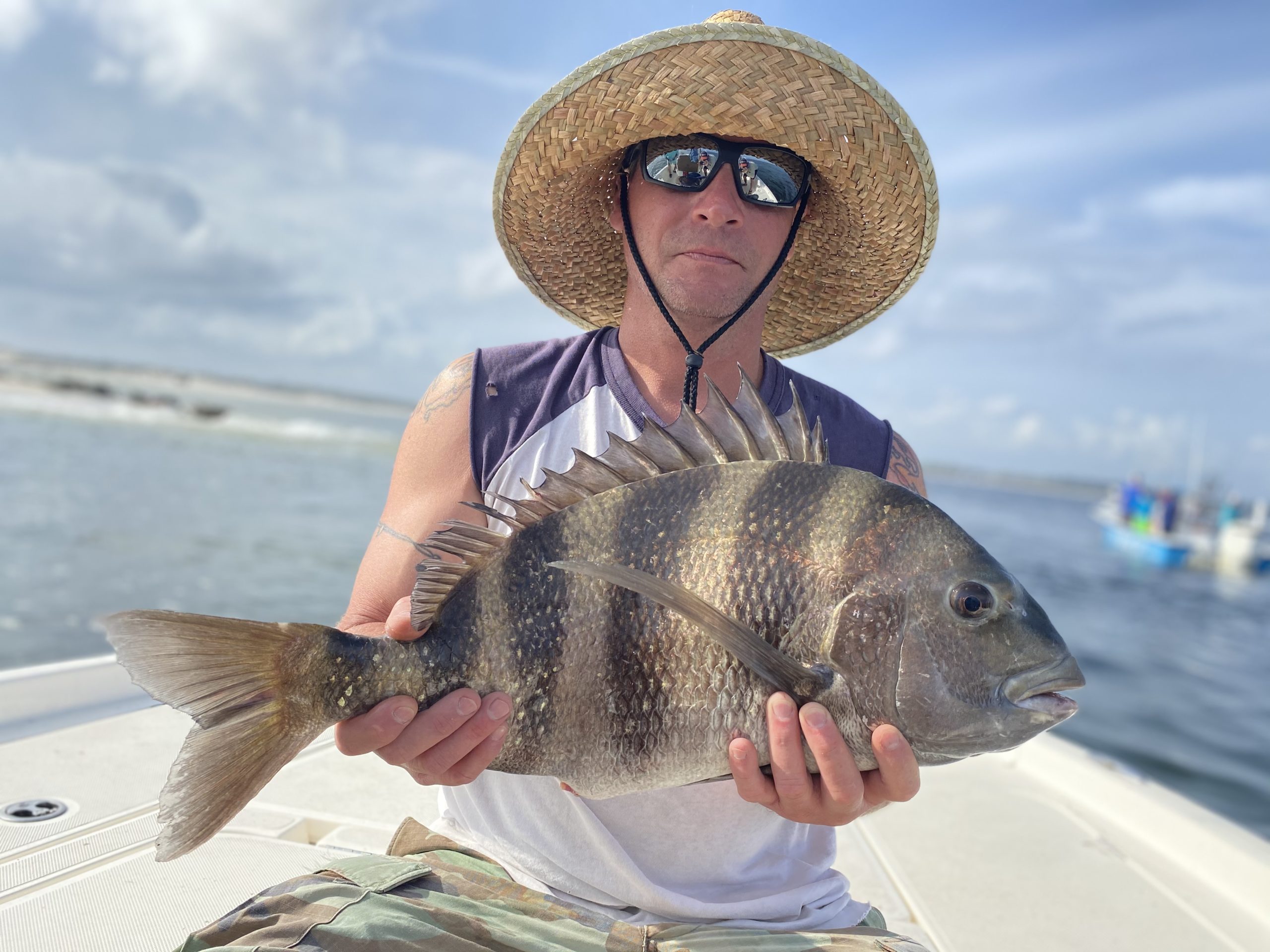 A large sheepshead fish caught while fishing in Florida