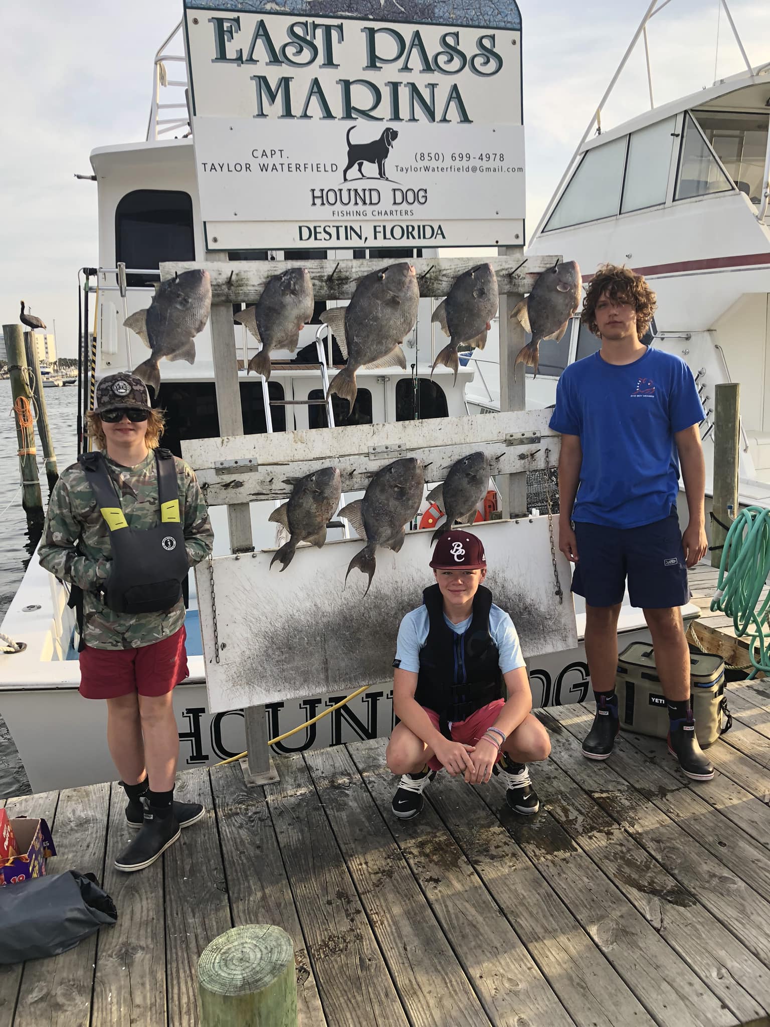 6 grey triggerfish caught while fishing in FL