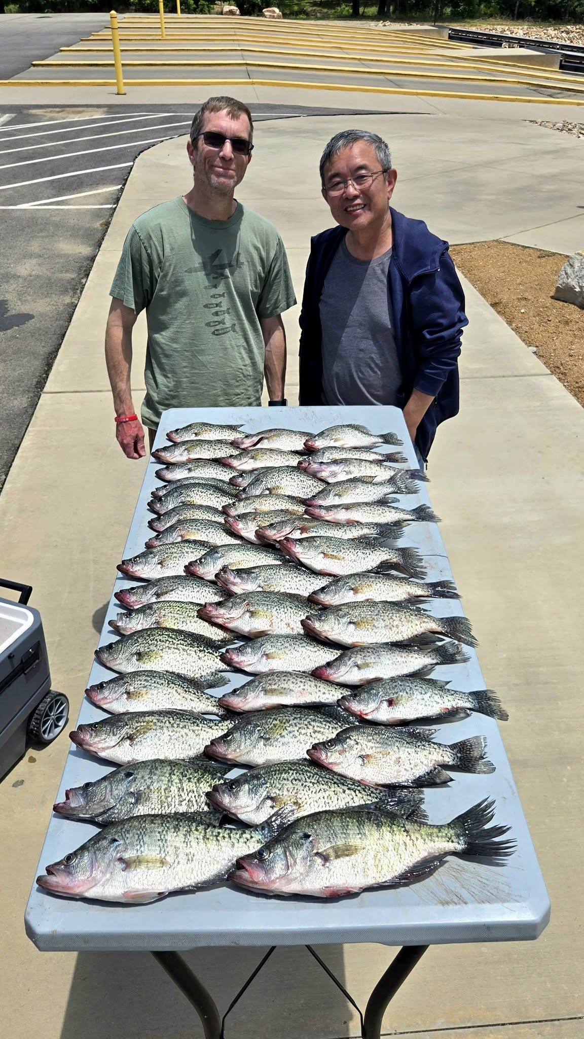 Large catch of crappie displayed on cleaning table at Quitman TX fishing location