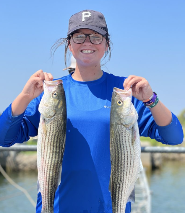 Two striped bass, 16 inches each, caught while fishing in Mead