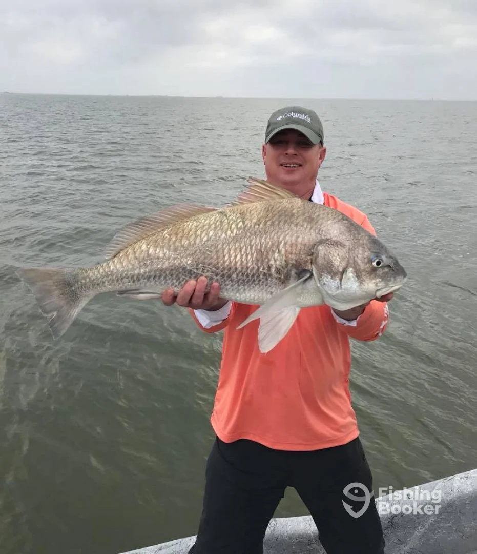 Caught a big black drum fish in Corpus Christi