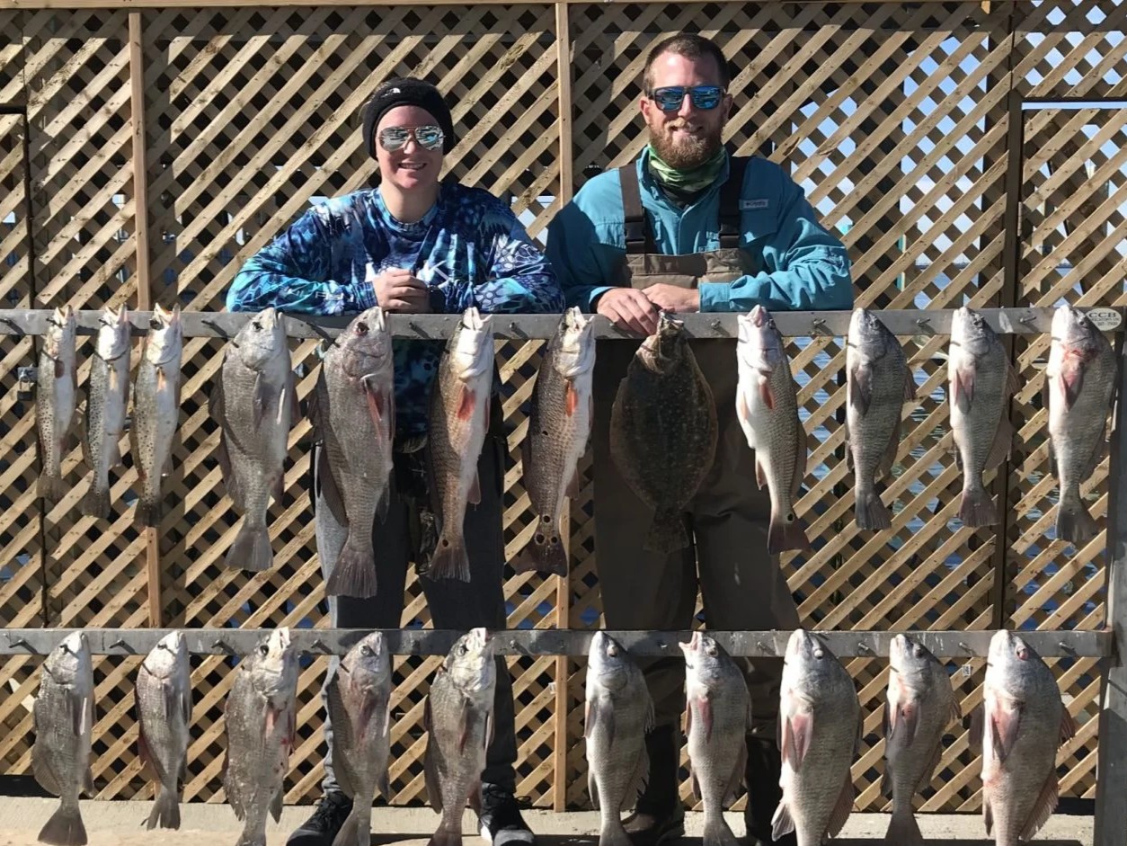16 black drum fish caught in TX