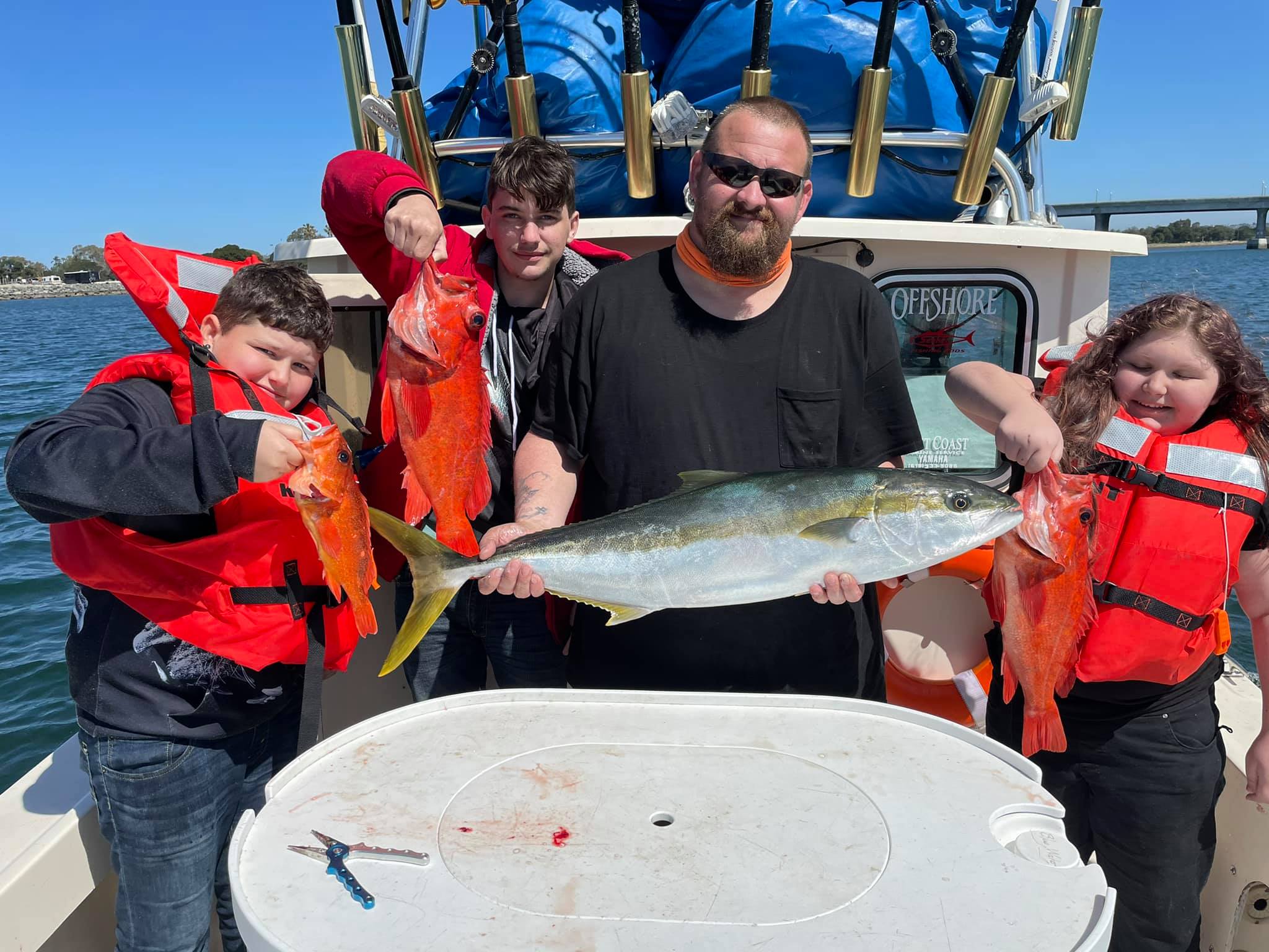 Three huge Greater Amberjack fish caught in San Diego