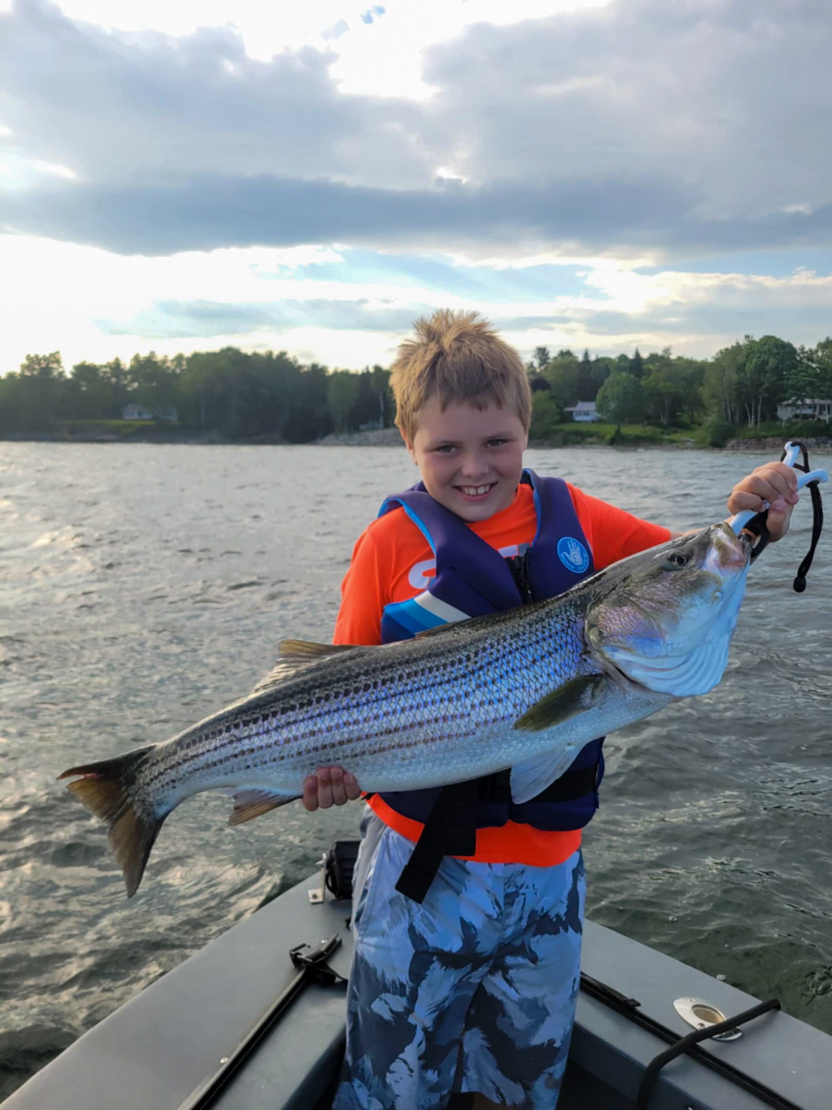 Striped bass caught by angler in Maine
