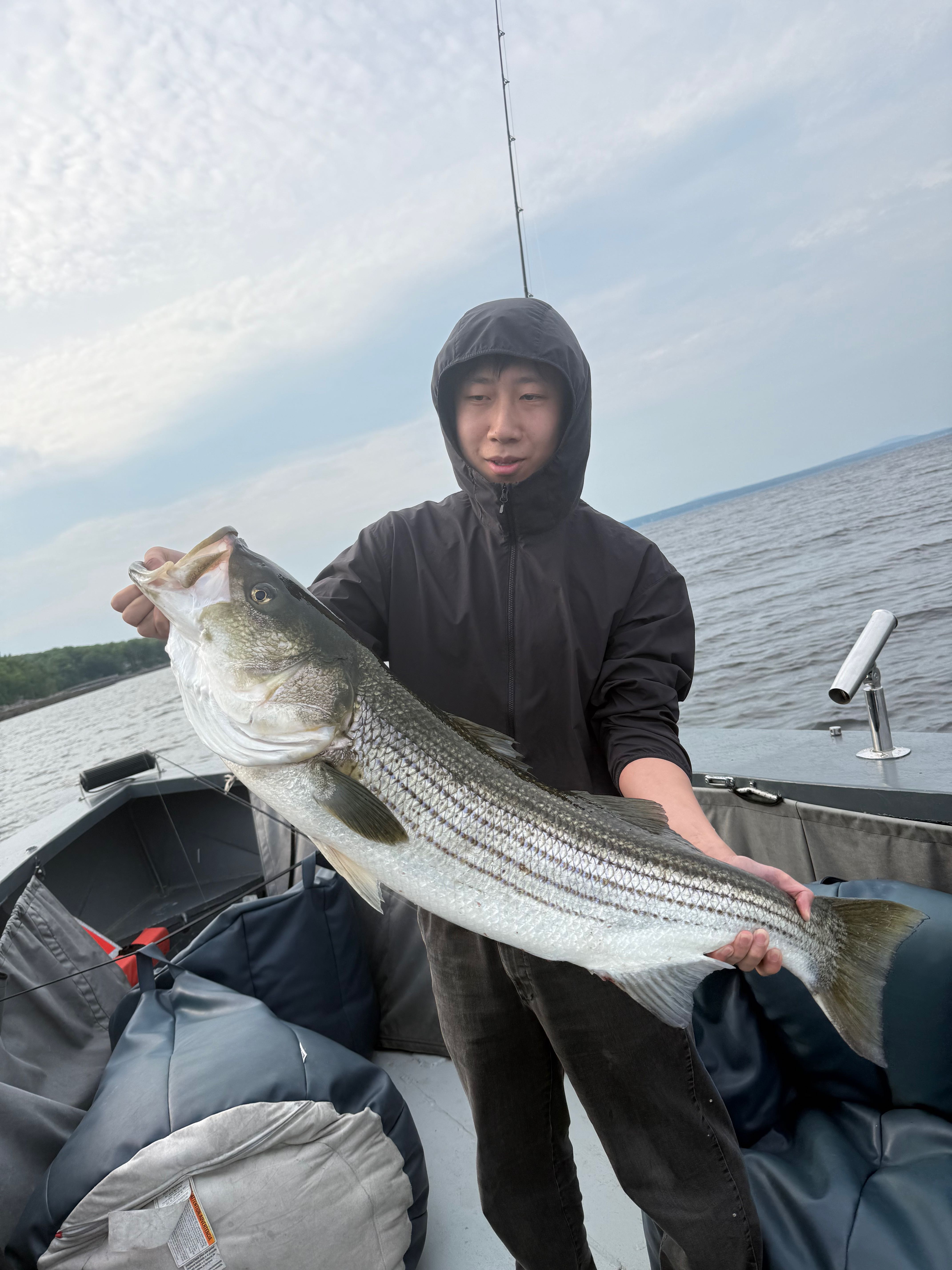 Striped bass catch from fishing trip in Monroe ME