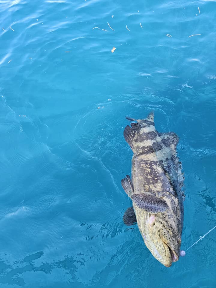 A fishing trip in FL