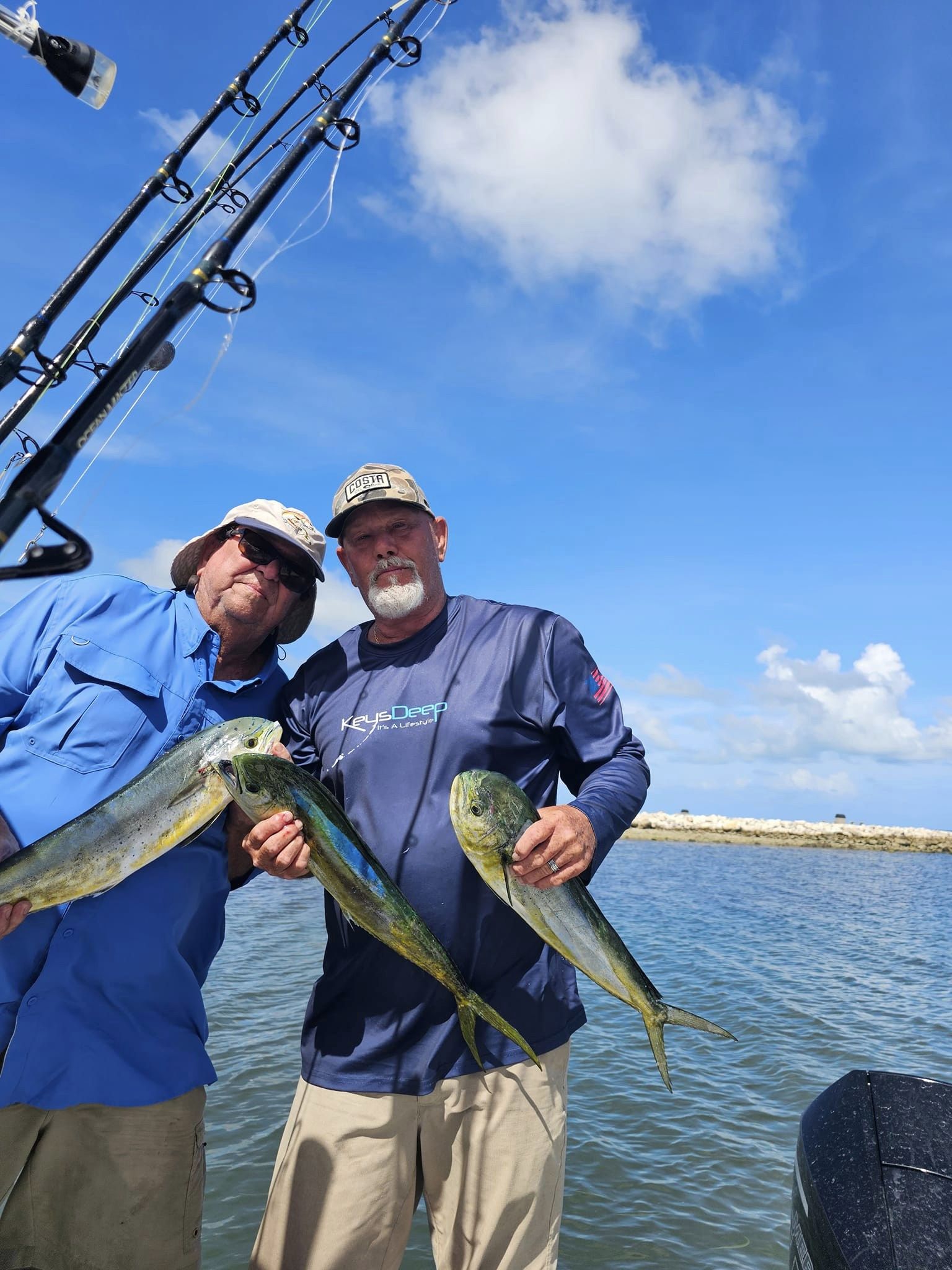 Three Mahi Mahi fish caught while fishing in FL