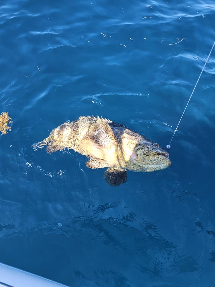 Fishing in FL