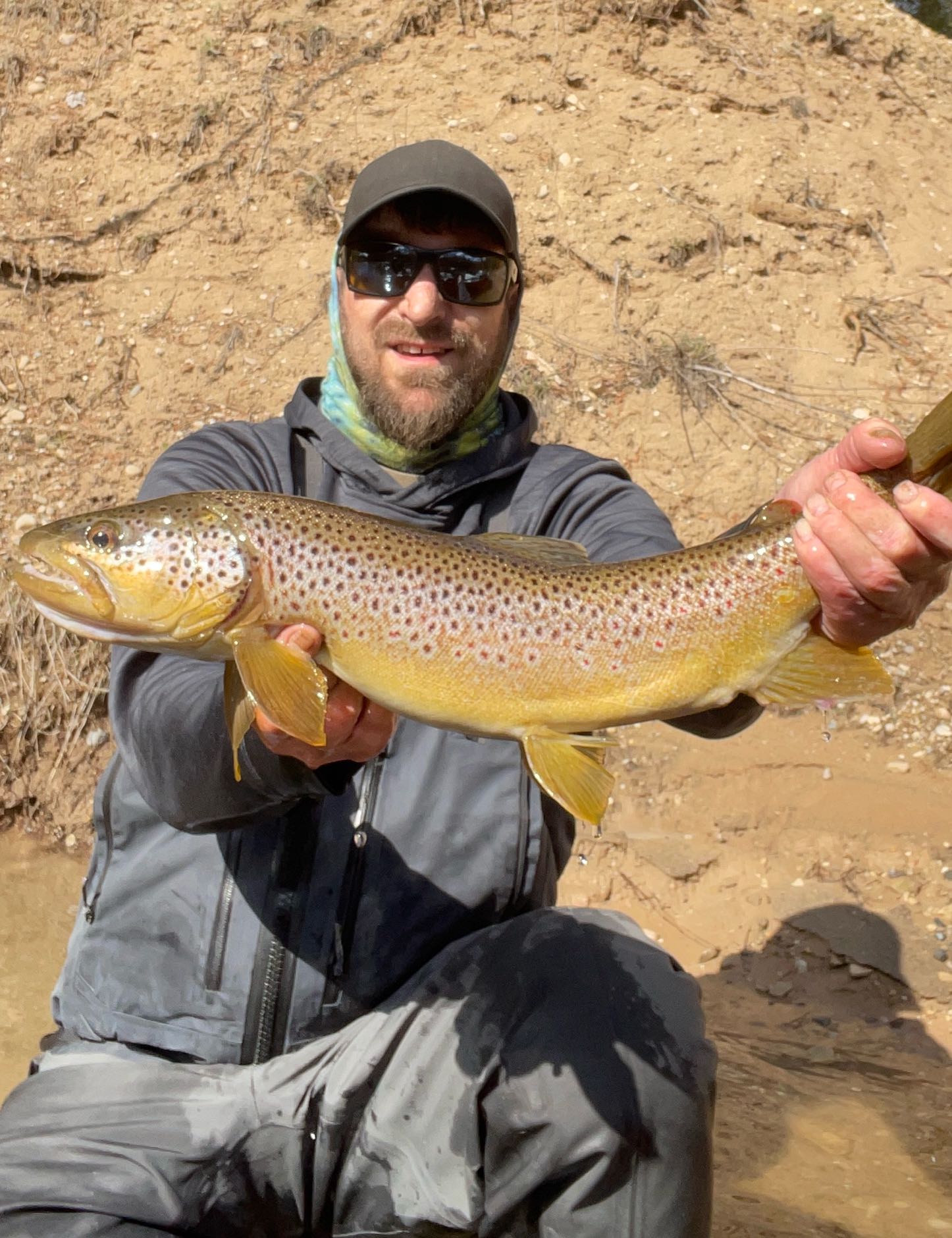 Large fishing catch in MI