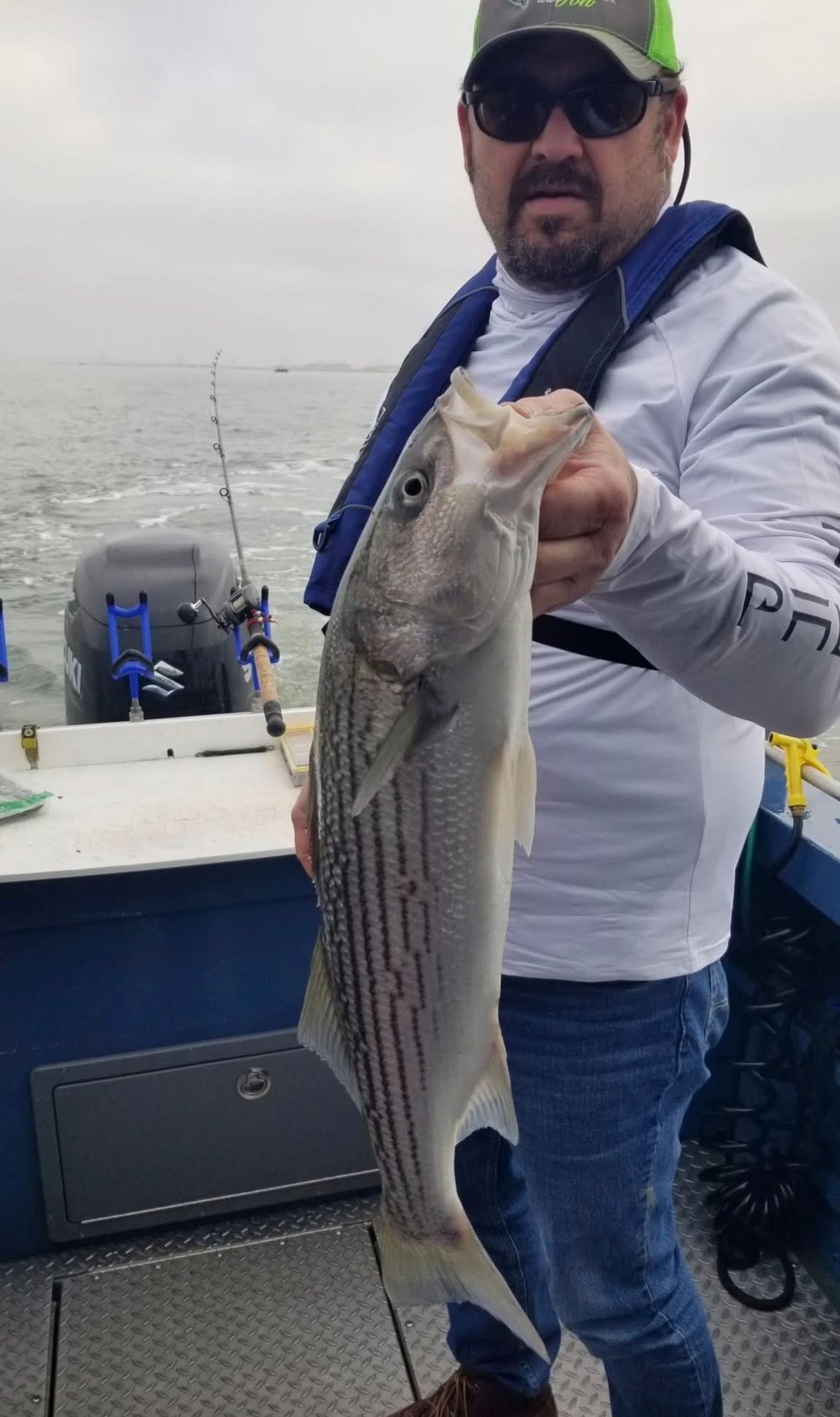 Striped bass catch from fishing tour in Sacramento CA