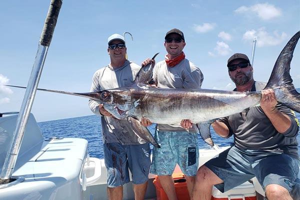 Photograph of a single blue marlin fish measuring 66 inches