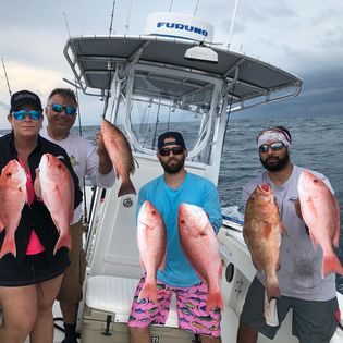 7 fishing catch at Sarasota
