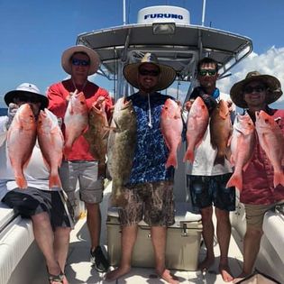 8 big fish caught in FL while fishing
