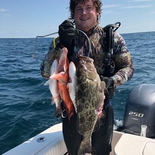 Photograph of a single gag grouper fish caught in Sarasota, Florida