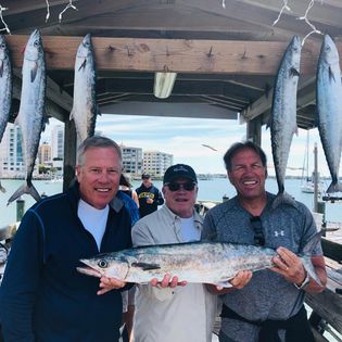 5 great fishing catch in Sarasota