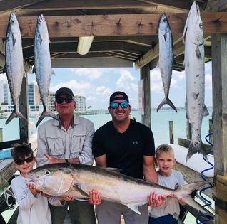 5 bluefish, great barracuda, and atlantic mackerel caught in FL
