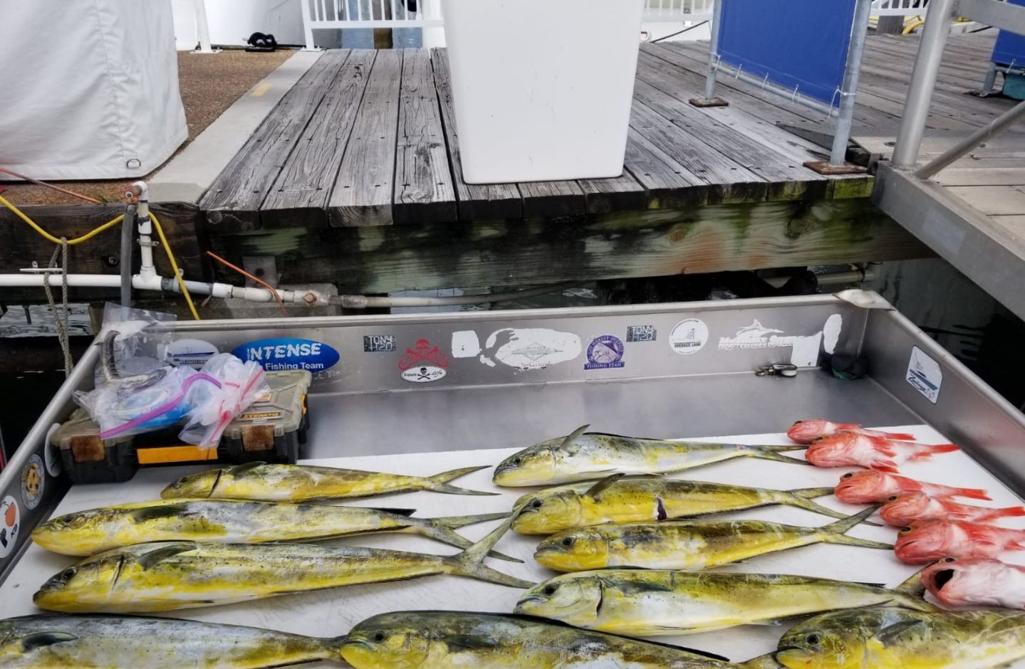 3 fishing rod with line in water, location FL