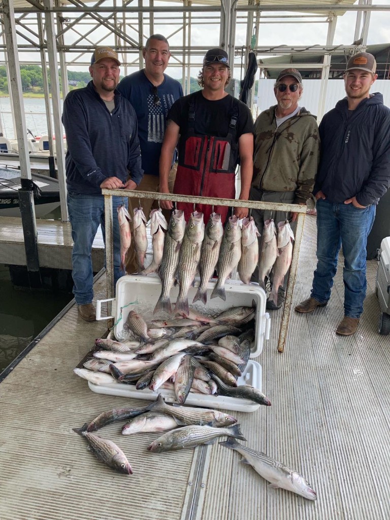 4 bluefish caught in Kingston