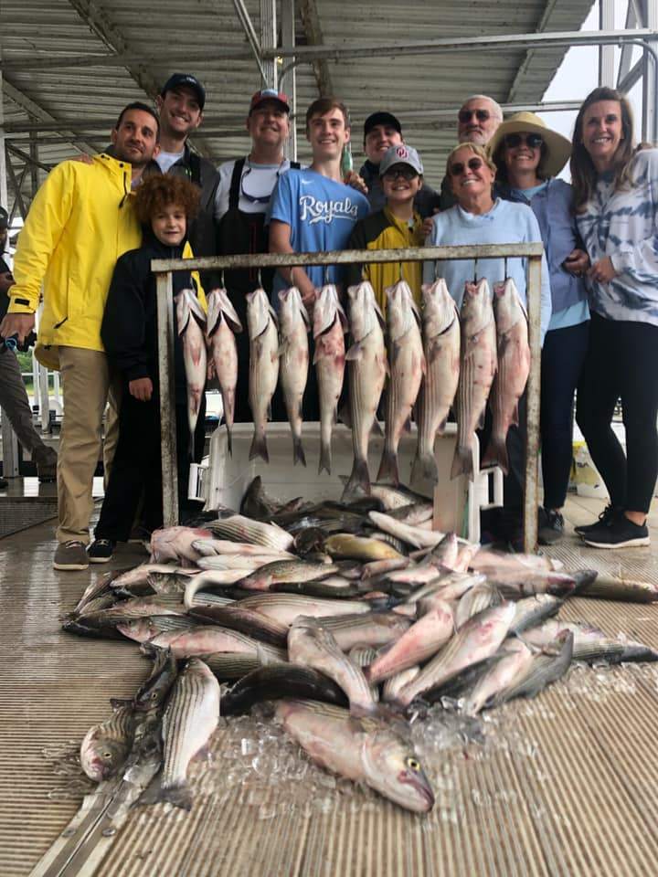four big fish caught in kingston