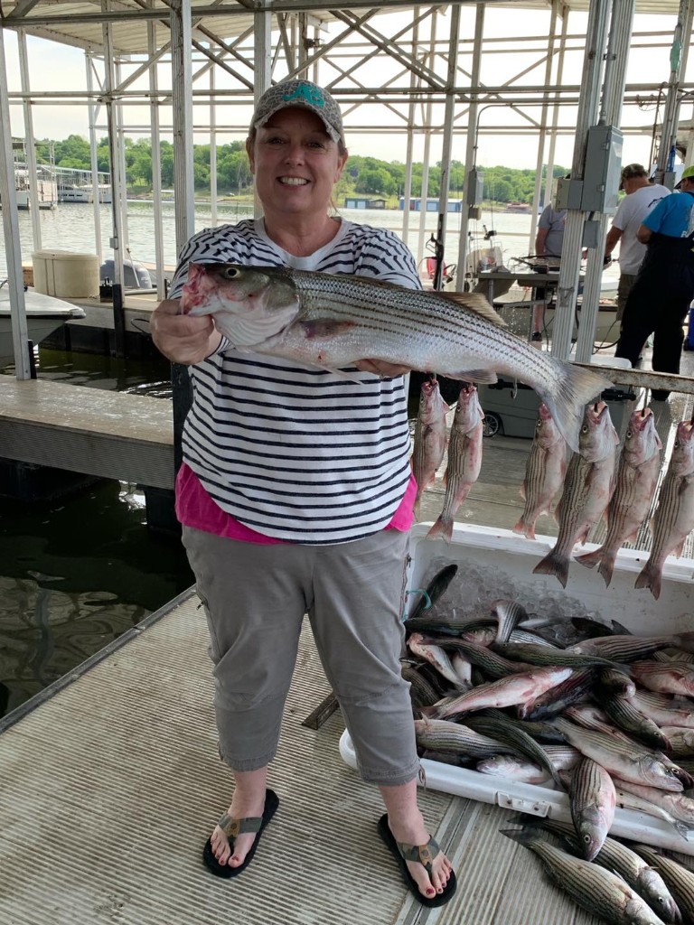 Striped bass fish caught in Kingston