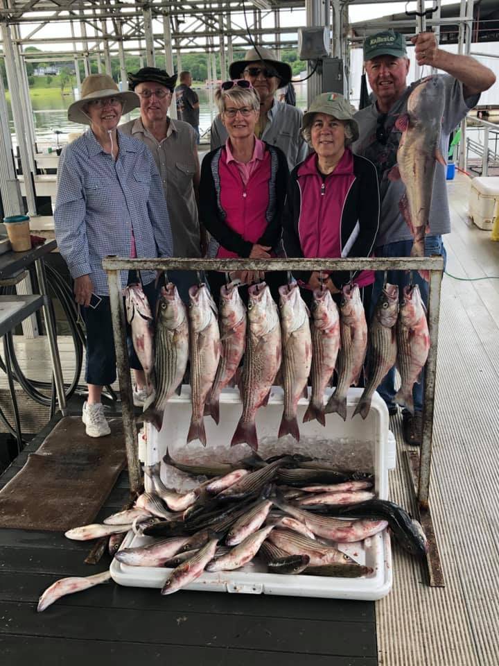 8 striped bass caught on a fishing trip in Kingston