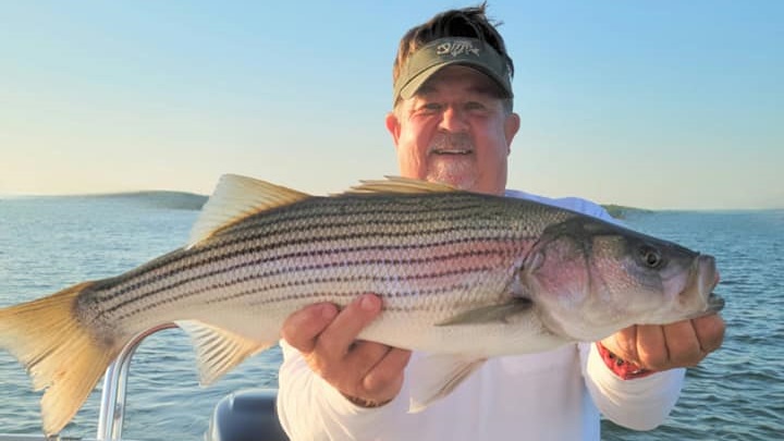 Striped bass caught in AL