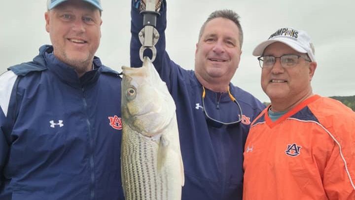 Striped bass caught by 3 people in Dadeville