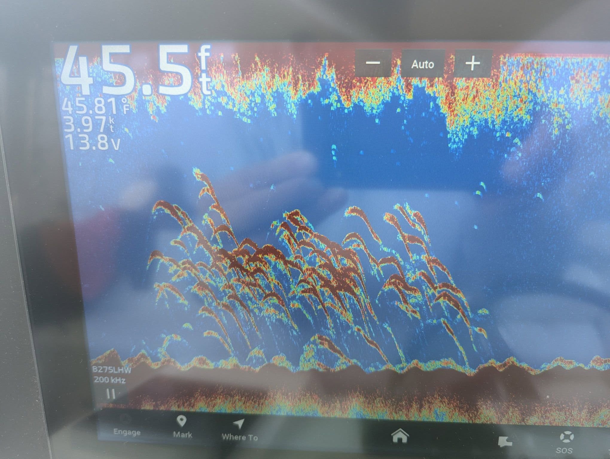 Fish finder sonar display showing underwater vegetation and bottom structure in Forked River NJ waters