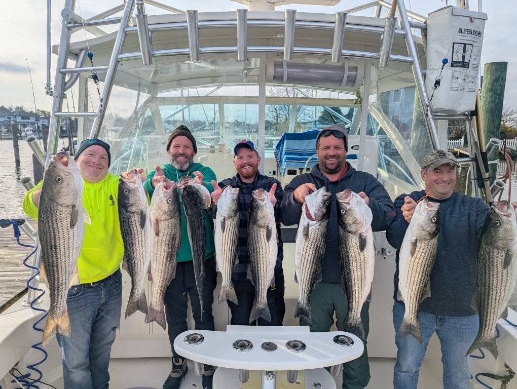 Striped bass fishing in NJ
