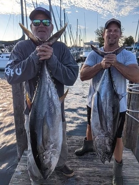 Two large yellowfin tuna caught during fishing trip in Forked River NJ displayed at marina dock