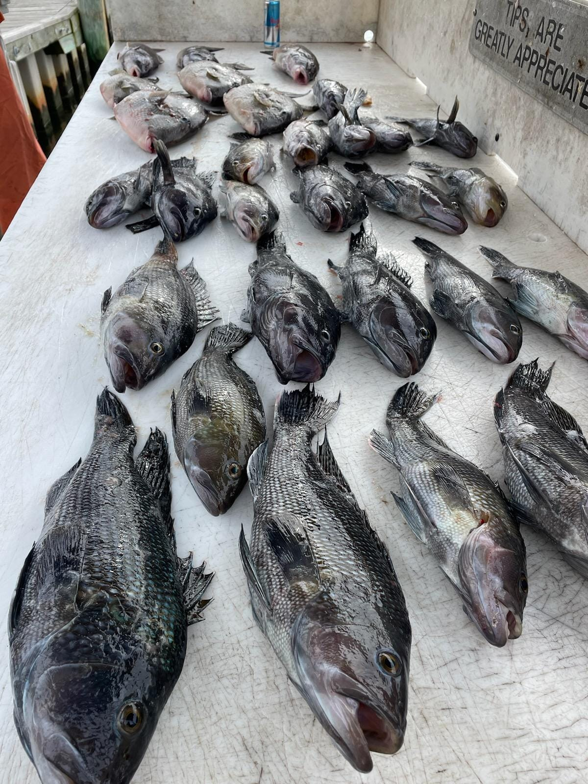 5 fishing rods at the ocean in Ocean City