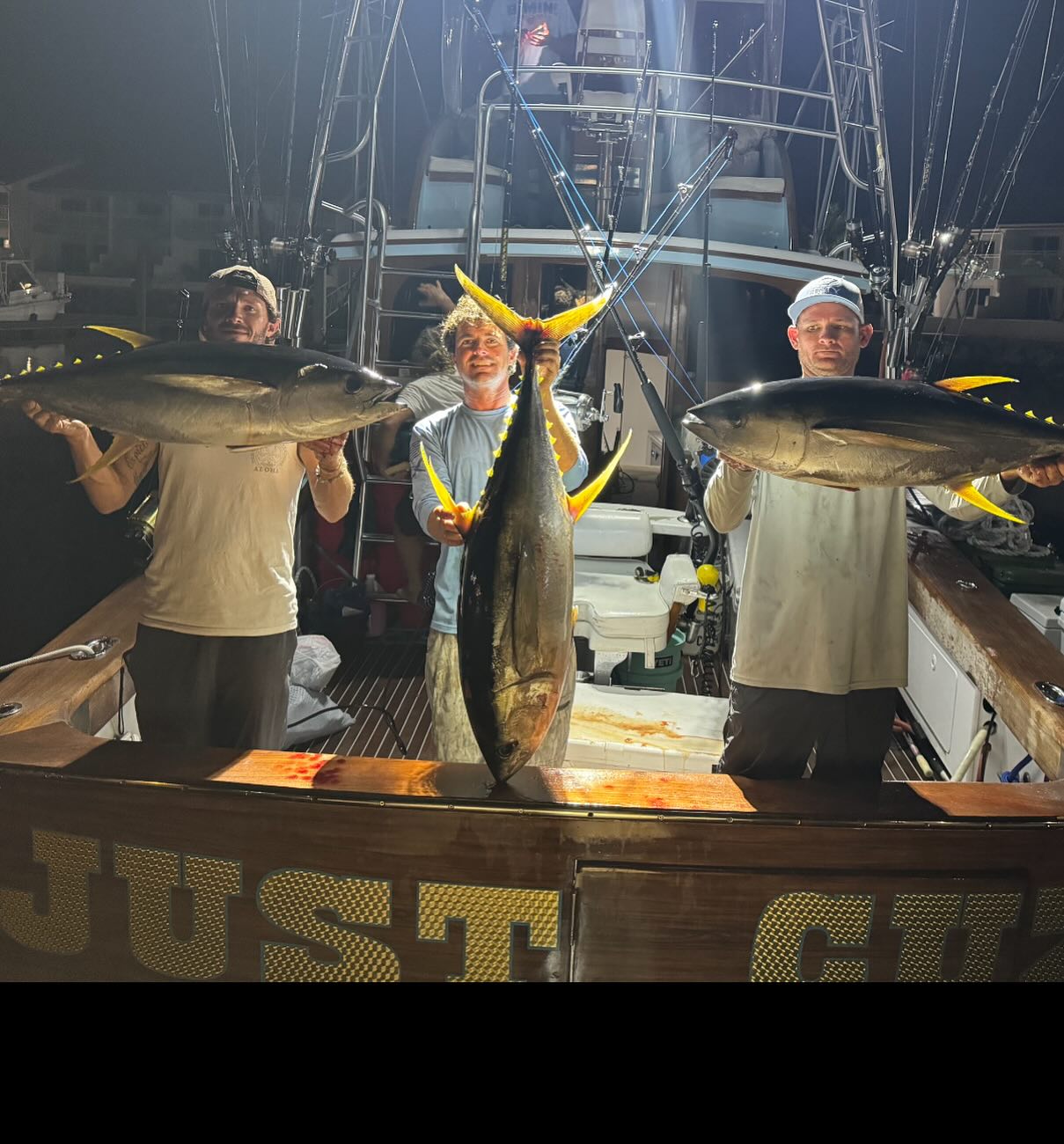 3 atlantic bonito and yellowfin tuna caught while fishing in fl