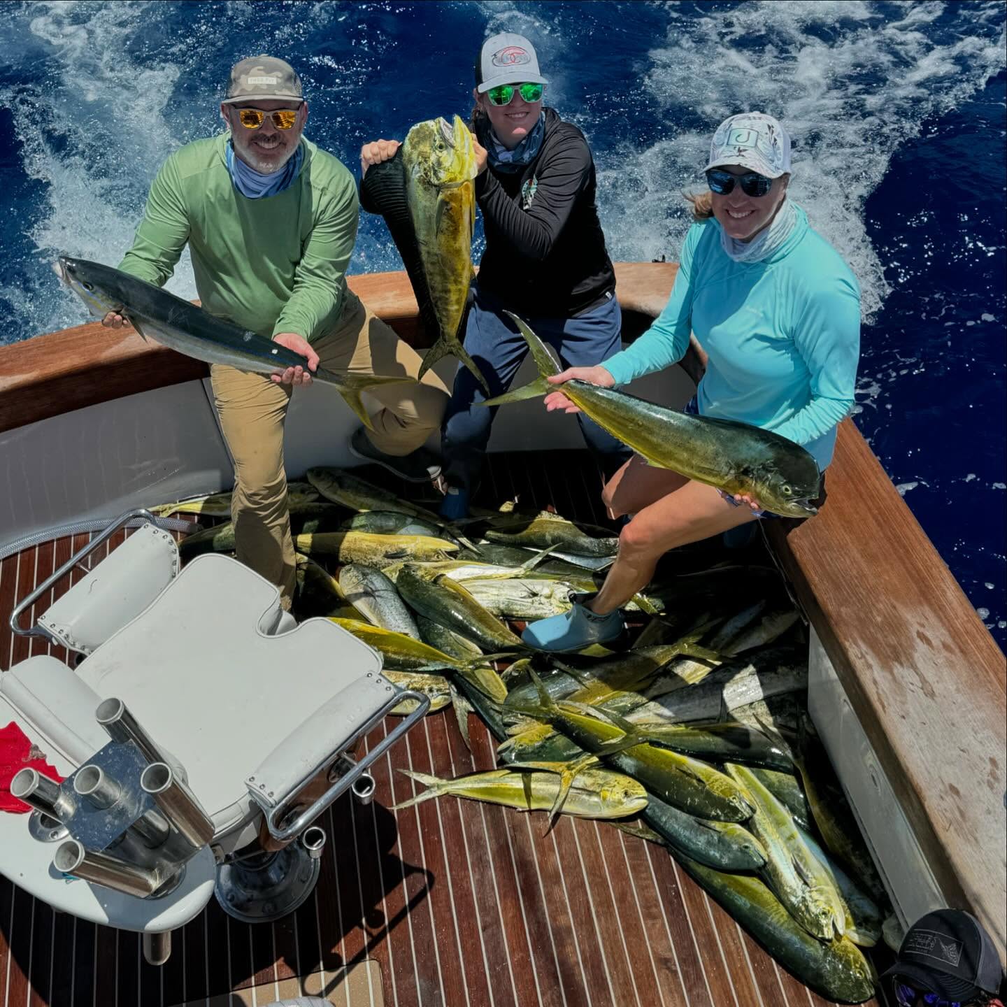 Three mahi mahi fish caught in FL