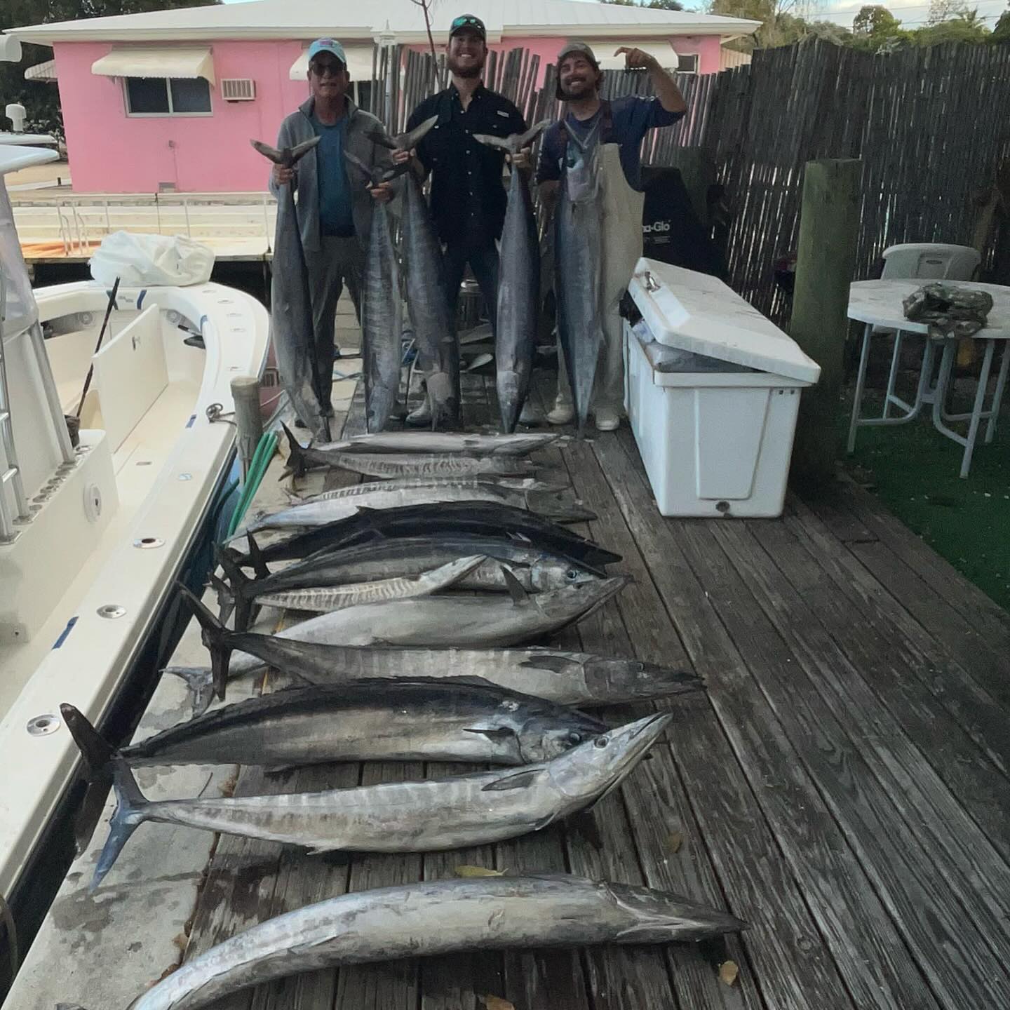 7 Wahoo fish caught while fishing in Tavernier