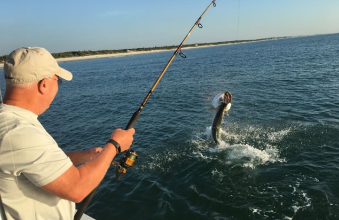Angler fishing in Jacksonville
