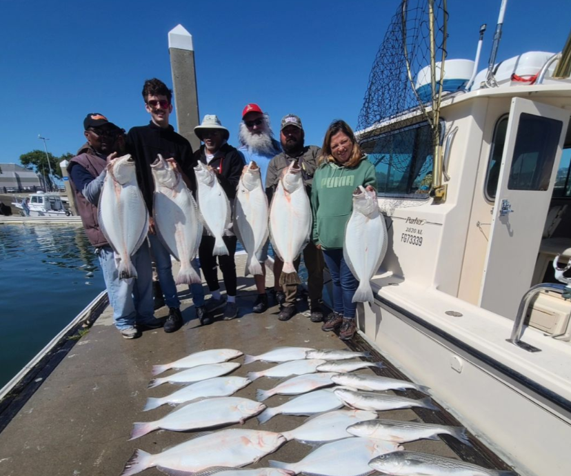 Anglers fishing at Bodega Bay with eight big fish caught
