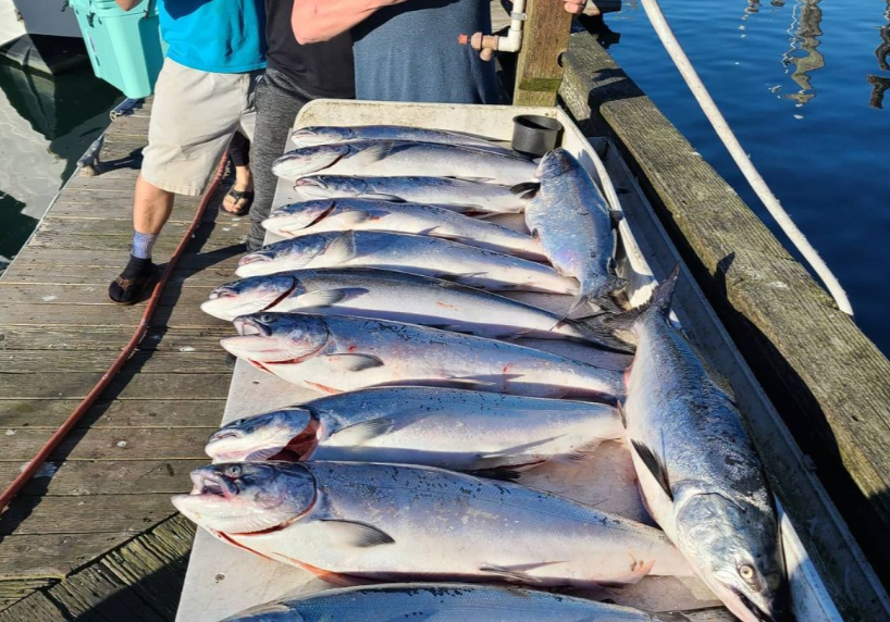 5 fishing rods and reels at Bodega Bay