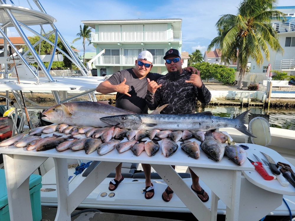 Two great barracuda, 43 inches long, caught while fishing in Marathon, Florida