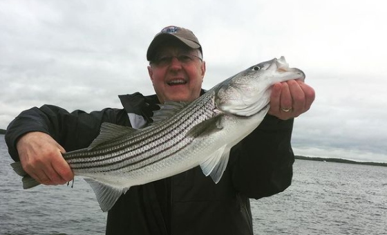 Striped bass caught by angler in MA