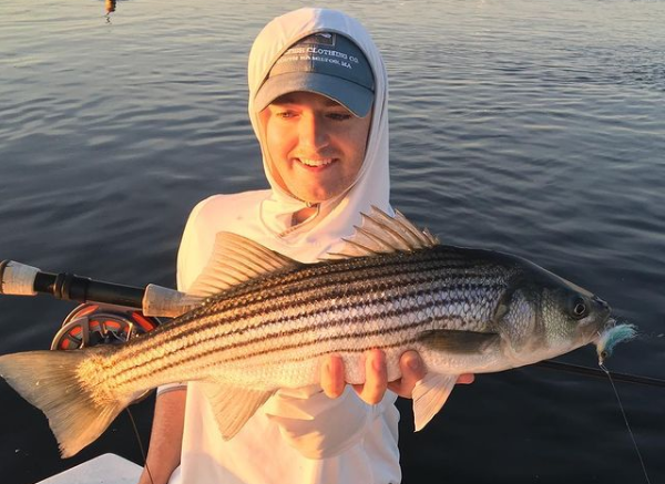 Striped bass caught in MA