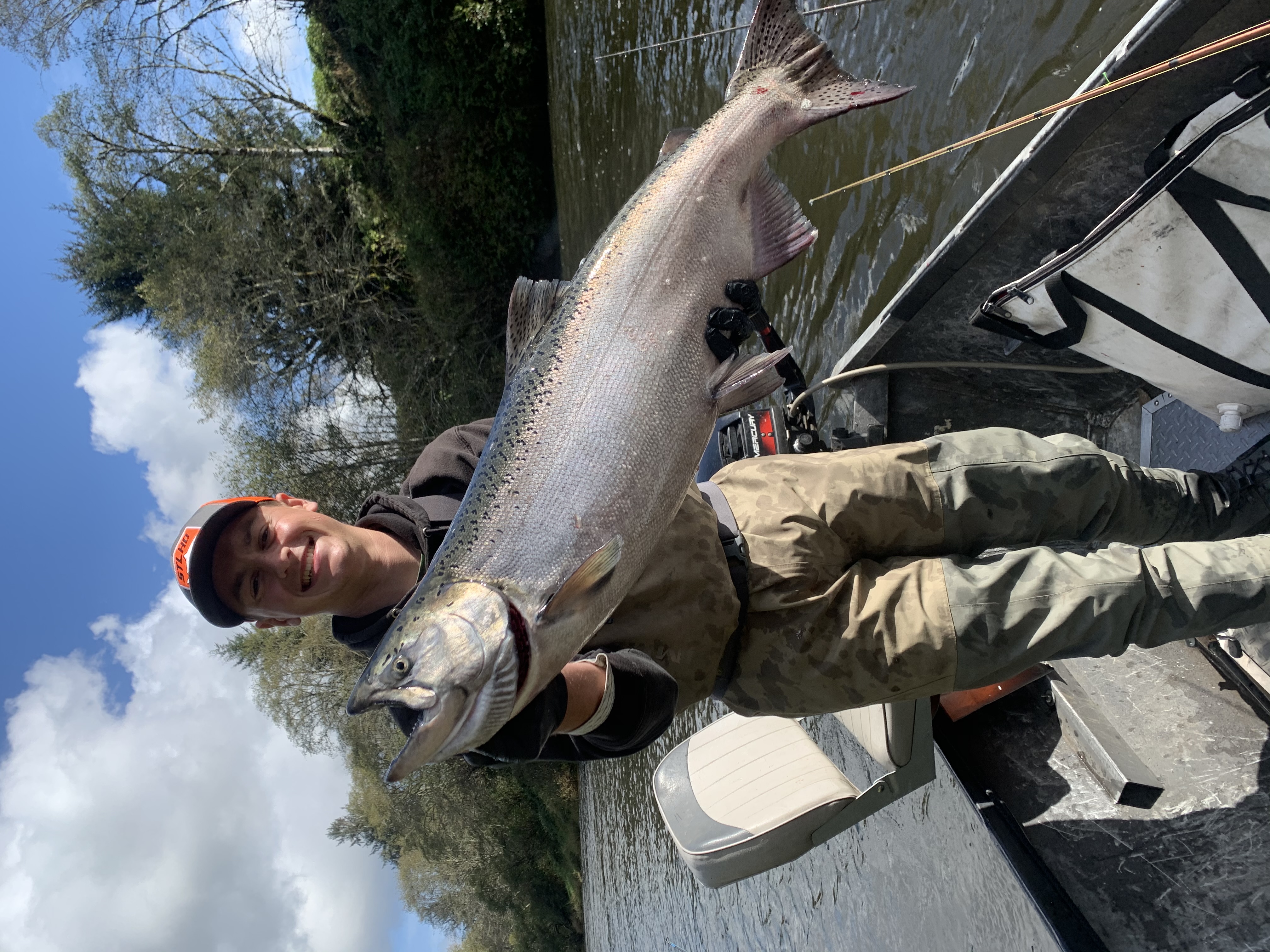 Chinook salmon caught in Salem, Oregon